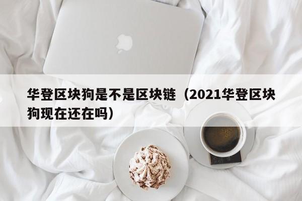 华登区块狗是不是区块链(2021华登区块狗现在还在吗)