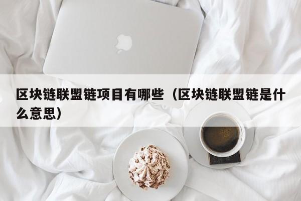 区块链联盟链项目有哪些（区块链联盟链是什么意思）
