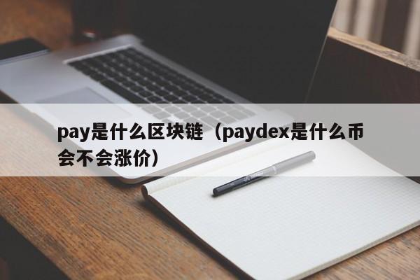 pay是什么区块链(paydex是什么币会不会涨价)