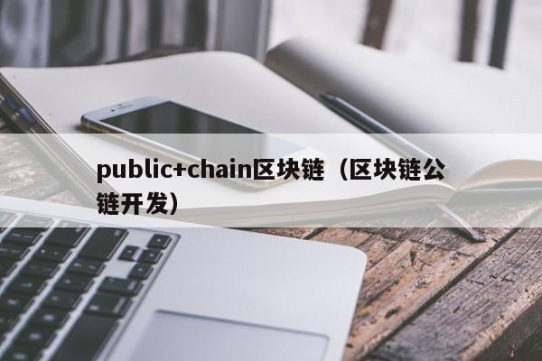 public+chain区块链(区块链公链开发)