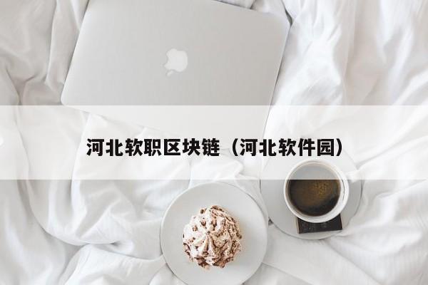 河北软职区块链（河北软件园）